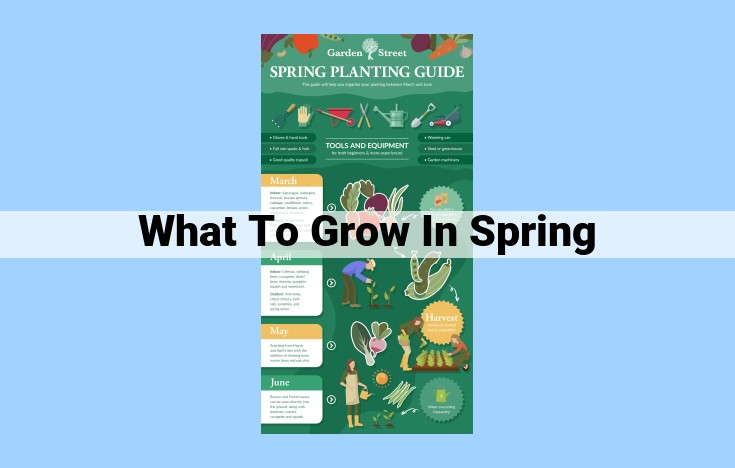 what to grow in spring