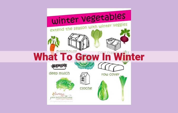 what to grow in winter