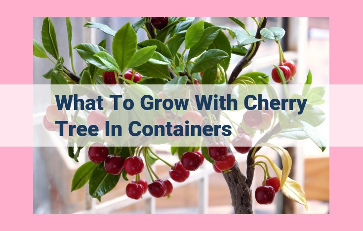 what to grow with cherry tree in containers