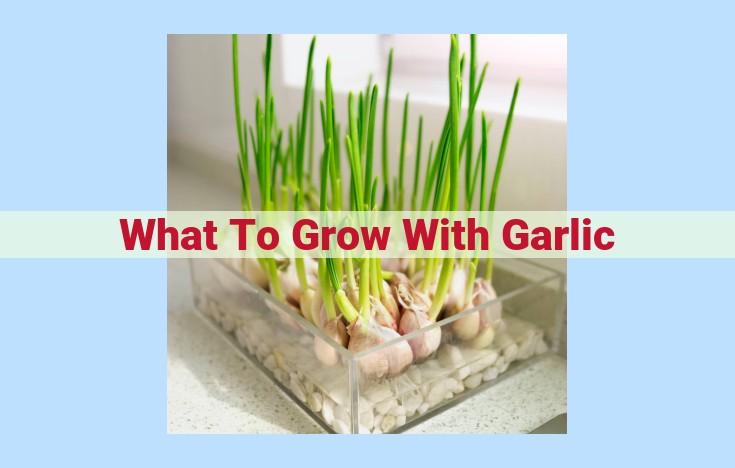 what to grow with garlic