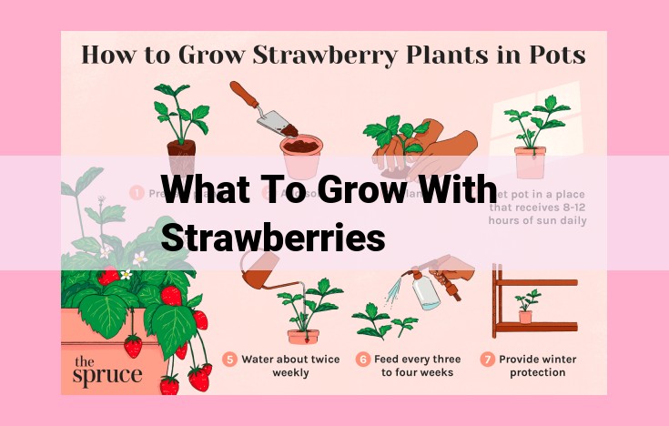 what to grow with strawberries