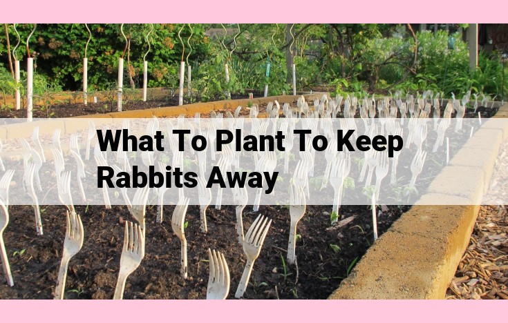 what to plant to keep rabbits away