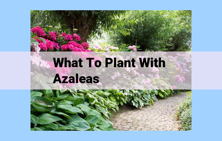 what to plant with azaleas