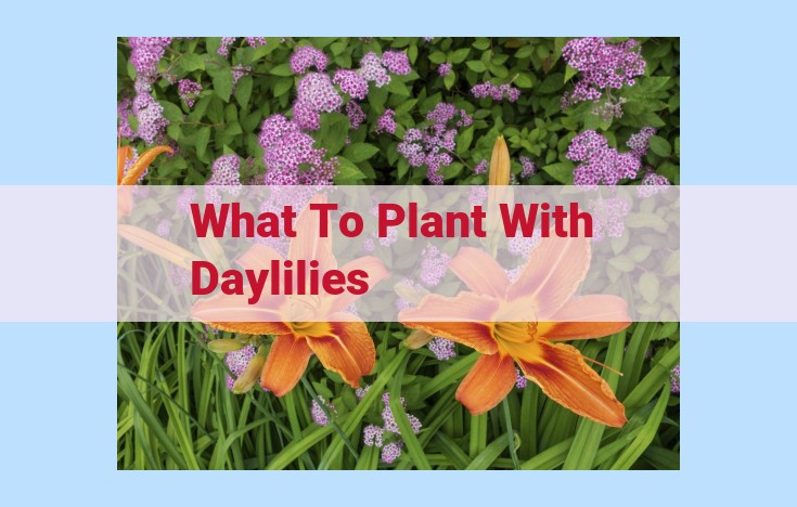 what to plant with daylilies