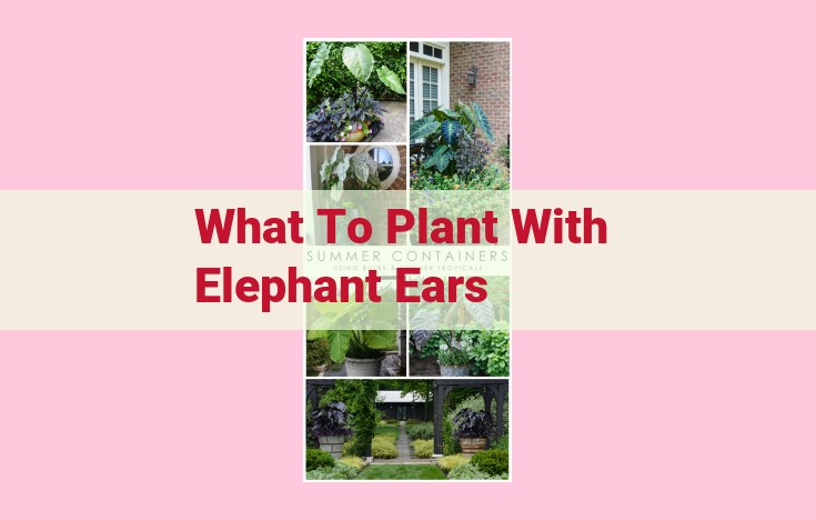 what to plant with elephant ears