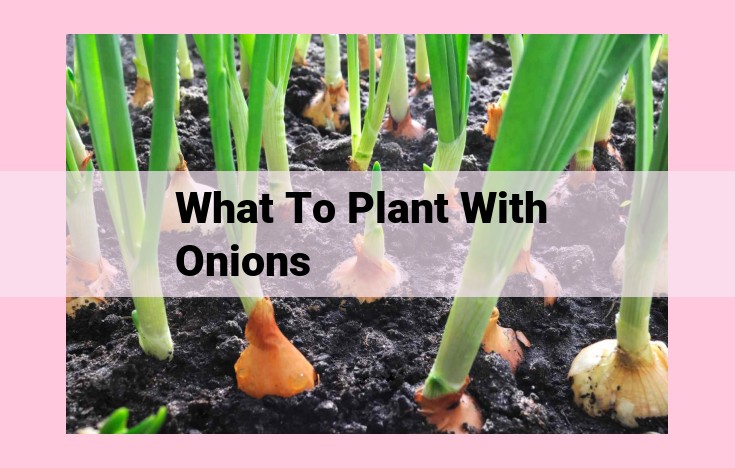 what to plant with onions