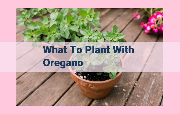 what to plant with oregano