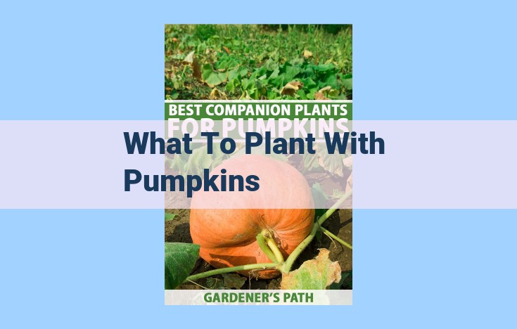 what to plant with pumpkins