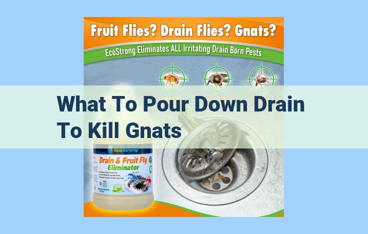 what to pour down drain to kill gnats