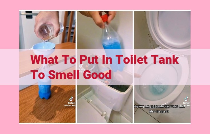 what to put in toilet tank to smell good