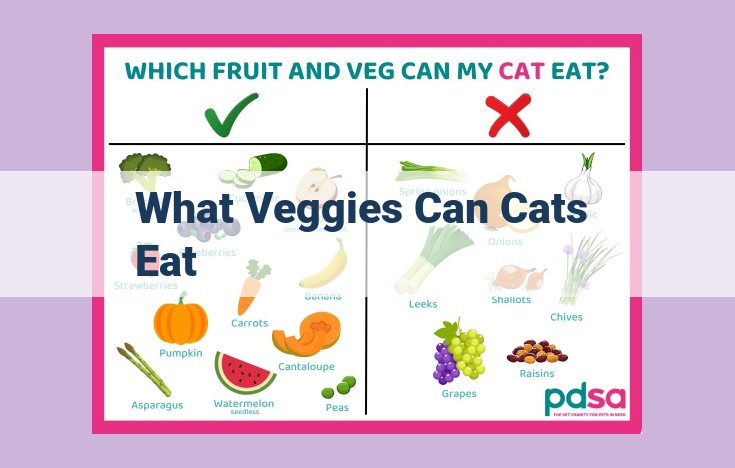 what veggies can cats eat