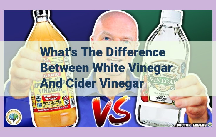 what's the difference between white vinegar and cider vinegar